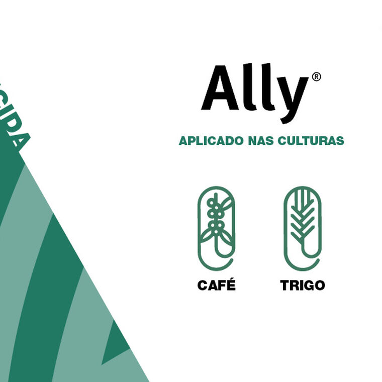 ALLY 600 WG 40G